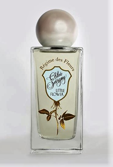 Chloe Sevigny Little Flower Review: Worth the $275 Hype?