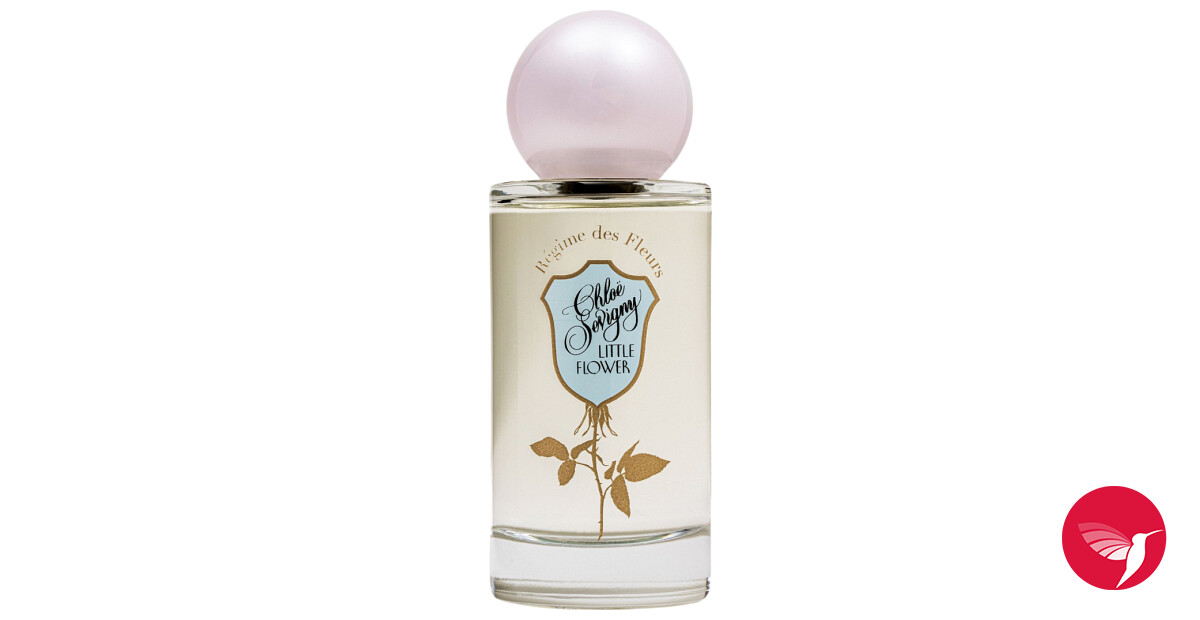 Chloe Sevigny Little Flower Review: Worth the $275 Hype?