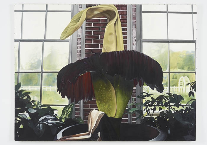 Megan Marrin: NY Artist's Unique Botanical & Body Art