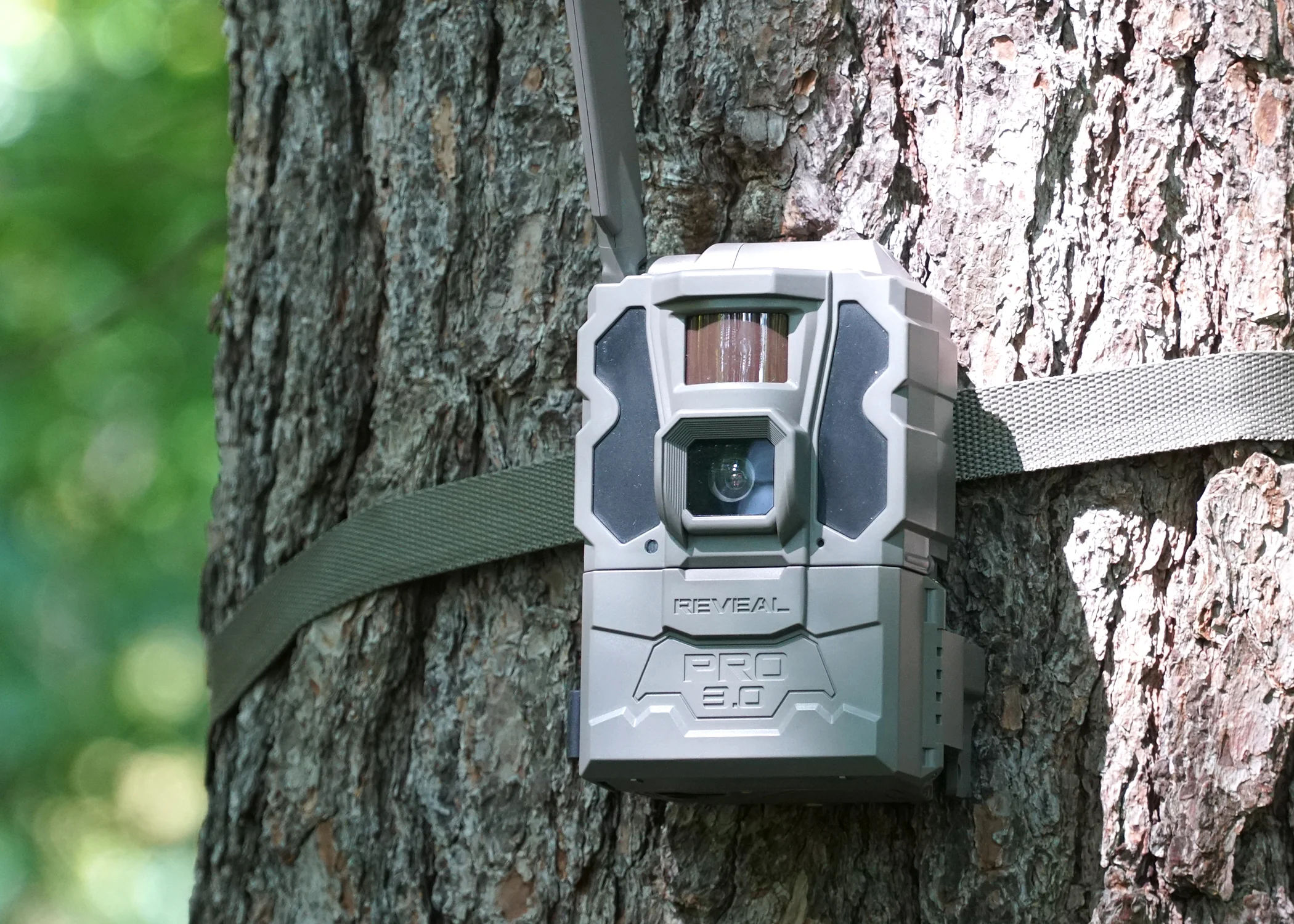 Review Trail Cameras: Top Picks & Buying Guide 2025