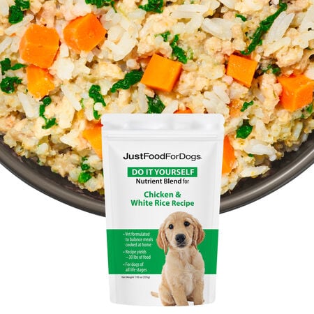 Best Alternatives to Chicken and Rice for Dogs: Protein Sources & Healthy Meals