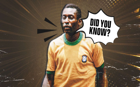 5 Facts About Soccer: History, Rules & Famous Players Revealed