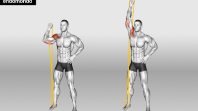 Best Stretch Band Handles to Boost Your Fitness Routine