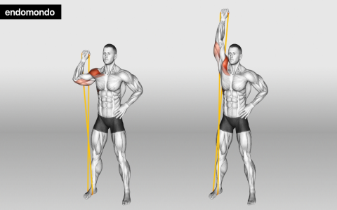 Best Stretch Band Handles to Boost Your Fitness Routine