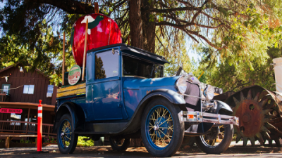 Experience Apple Hill Train Ride with Craft Fair & Family Fun