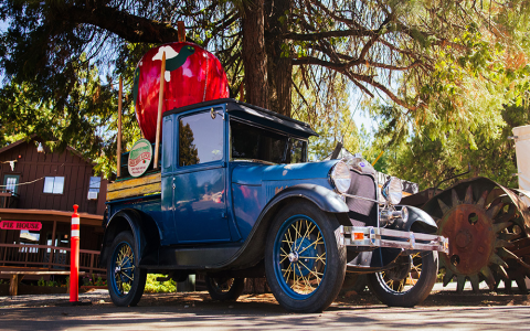 Experience Apple Hill Train Ride with Craft Fair & Family Fun