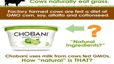Chobani Vanilla Greek Yogurt Nutrition Label: What’s Inside?
