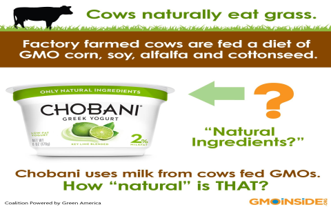Chobani Vanilla Greek Yogurt Nutrition Label: What’s Inside?