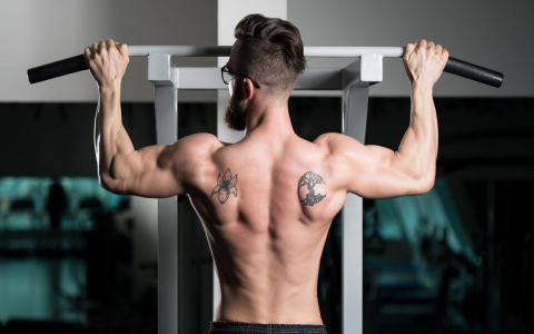 Best Waist and Arm Trainer for Quick Body Sculpting 2025