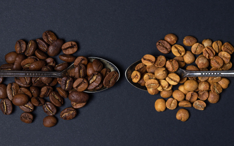 Best Medium Roast Coffee Beans for Espresso Lovers: Your Ultimate Guide