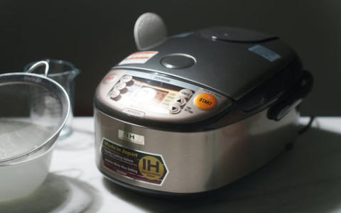 Download Aroma Digital Rice Cooker Instruction Manual PDF: Your Go-To Guide for Perfect Rice Every Time