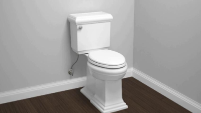 Best Icera Toilet Reviews: Water Efficiency and Quiet Flush
