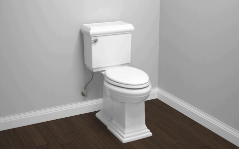 Best Icera Toilet Reviews: Water Efficiency and Quiet Flush