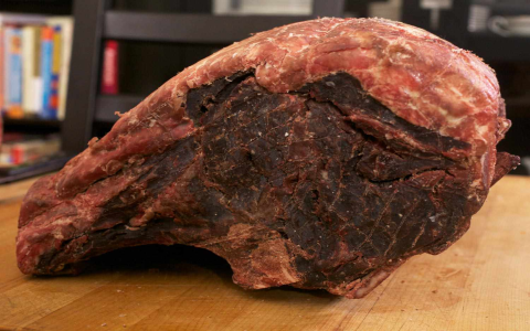 How Long Can You Freeze a Prime Rib Roast? Ultimate Guide