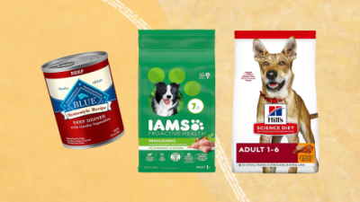 Best Alternatives to Chicken and Rice for Dogs: Protein Sources & Healthy Meals