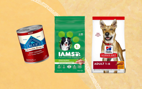 Best Alternatives to Chicken and Rice for Dogs: Protein Sources & Healthy Meals