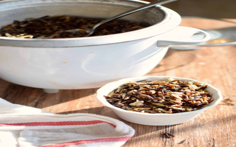 Aroma Digital Rice Cooker Instructions: Easy Step-by-Step Guide