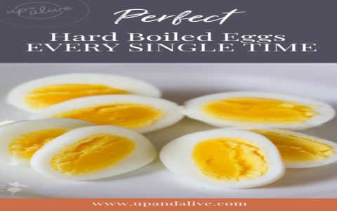 How to Make Boiled Eggs Not Smell: Easy Tips for Fresh Snacks