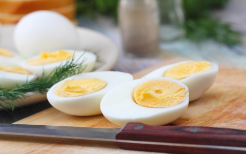 Fast Metabolism Phase 2 Food List: Top Foods to Boost Fat Burn