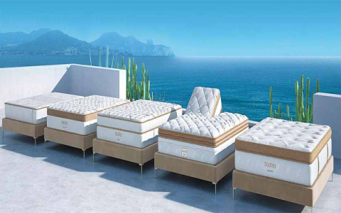 Prana Bed Reviews: Real Comfort & Support Tested