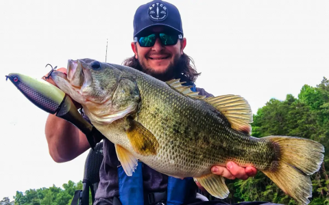 Okuma Reels Reviews: Best Fishing Gear for Every Angler