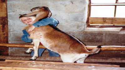 When Do Baby Goats Start Eating Grain? A Complete Guide for New Goat Owners
