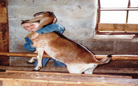 When Do Baby Goats Start Eating Grain? A Complete Guide for New Goat Owners