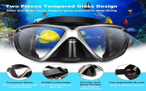 Top Snorkel Gear Reviews with Best Dive Masks & Fins