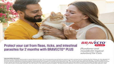 Bravecto Reviews Cats: Is Flea Protection Safe and Effective?