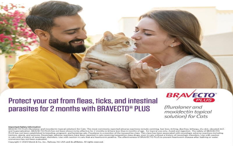 Bravecto Reviews Cats: Is Flea Protection Safe and Effective?