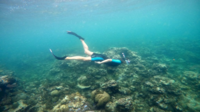 Cressi Snorkel Review: Top Features & Honest Verdict
