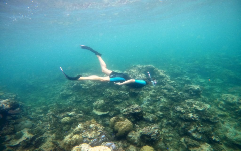 Cressi Snorkel Review: Top Features & Honest Verdict