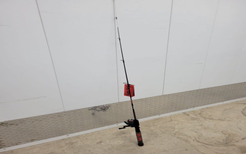 Top Ugly Stik GX2 Reviews: Durable Fishing Rod & Combo Insights