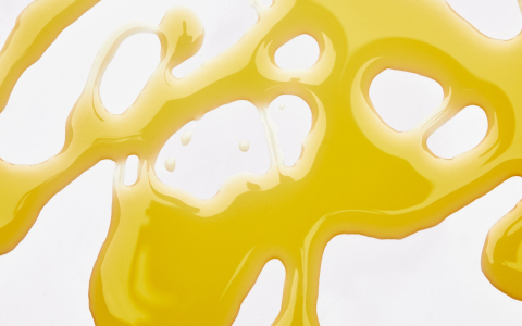 What Can I Use in Place of Canola Oil? Best Grapeseed & Vegetable Oil Alternatives