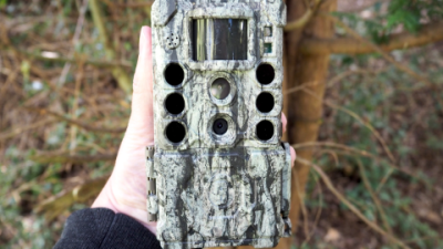 Top Wildlife Camera Reviews 2025: Capture Nature Perfectly