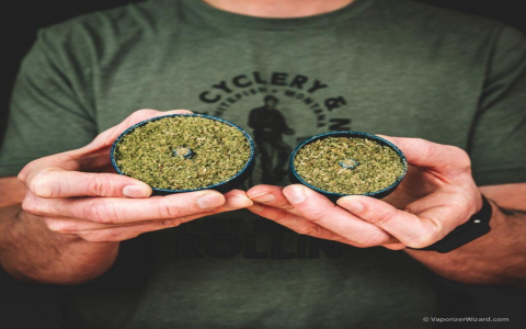 Top Herb Grinder Reviews 2025