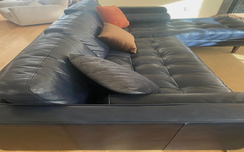 Top Article Couch Reviews: Best Picks & Honest Opinions