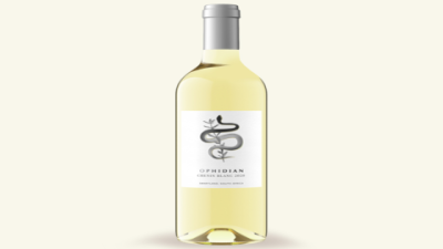 First Leaf Reviews Wine: Honest Insights You Can Trust
