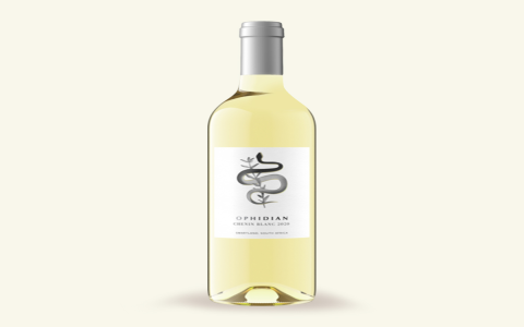 First Leaf Reviews Wine: Honest Insights You Can Trust
