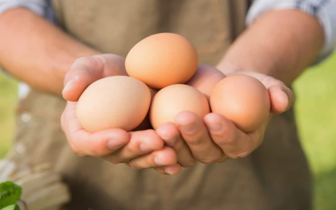 Sunny Side Up Eggs Nutrition Facts: Calories & Benefits