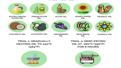 Top Healthy Alternatives to Seed Oils | Olive Oil & Avocado Benefits