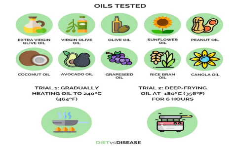 Top Healthy Alternatives to Seed Oils | Olive Oil & Avocado Benefits
