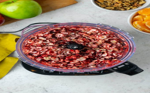 Apple Cranberry Salad Whataburger Review | Fresh Ingredients & Tasty Vinaigrette