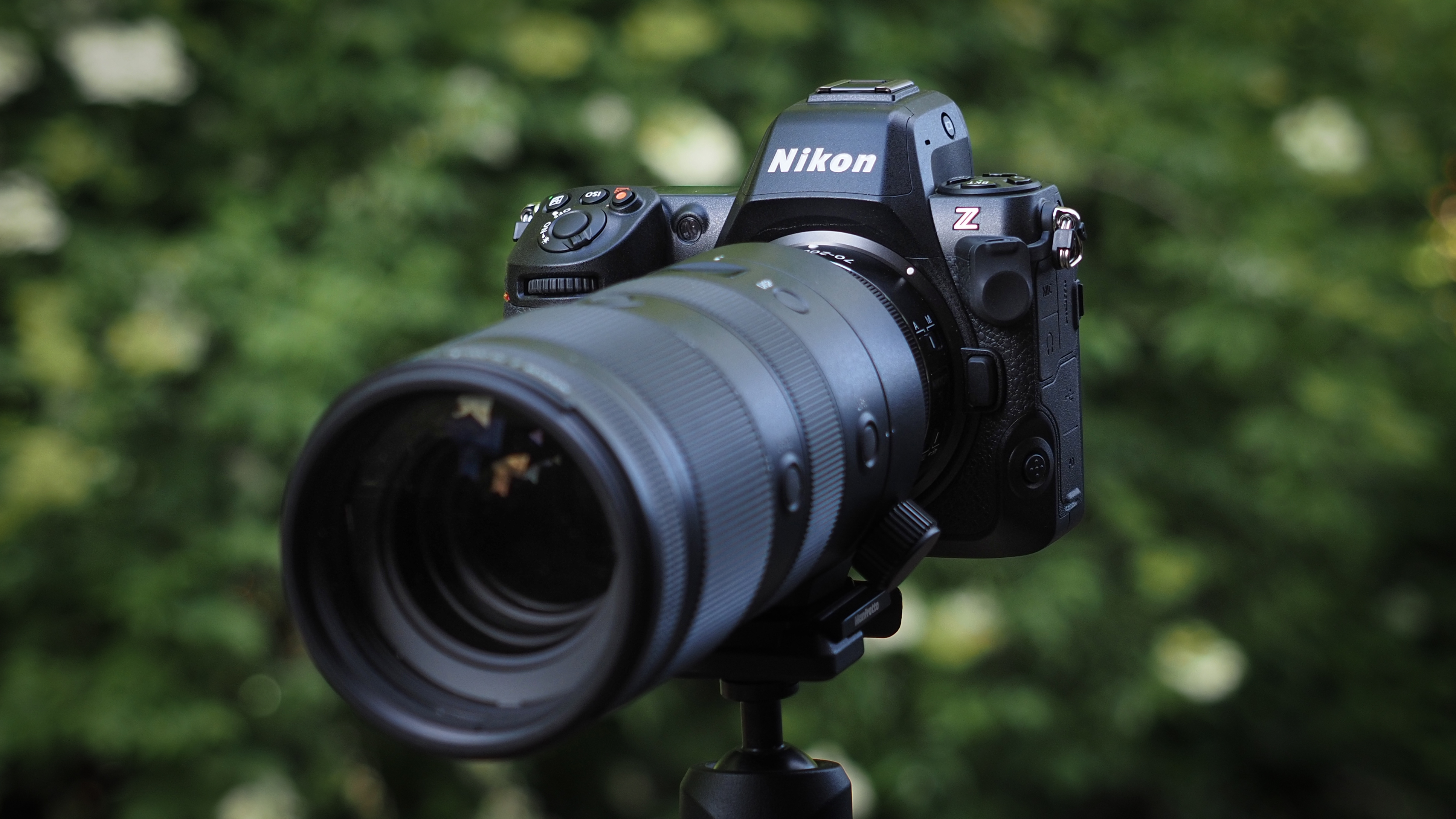 Top Wildlife Camera Reviews 2025: Capture Nature Perfectly