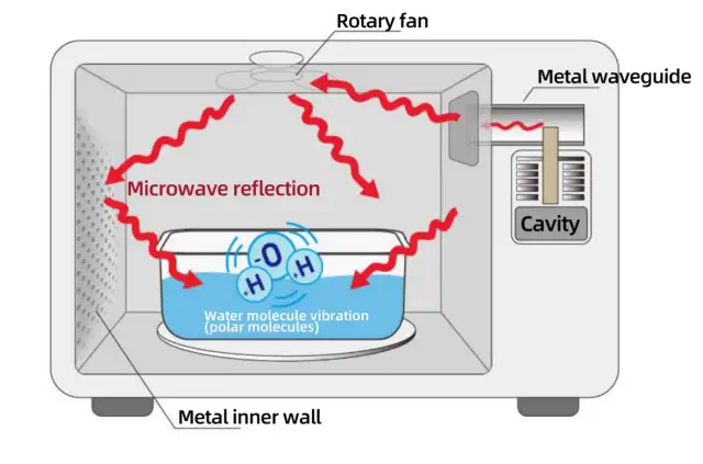 Can Stainless Steel Go in a Microwave? The Surprising Truth