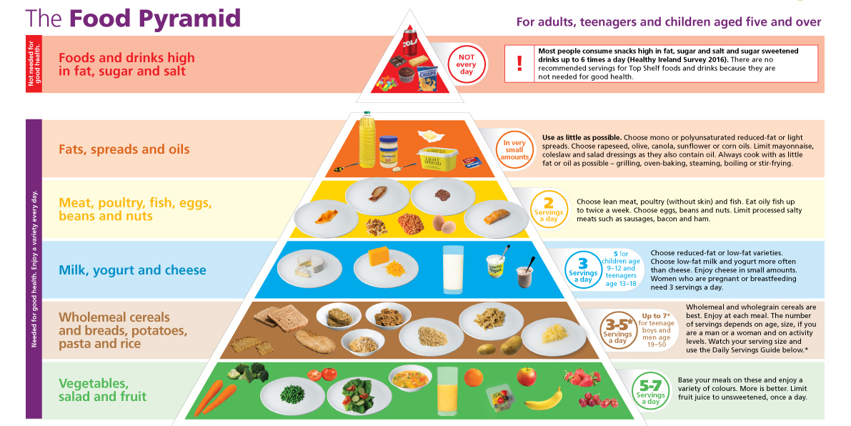 Simple Categories for Ranking Food: Easy Guide