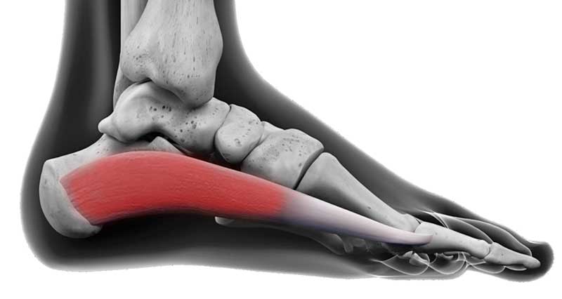 Hallucis Muscle Pain? Causes, Symptoms & Quick Relief Tips
