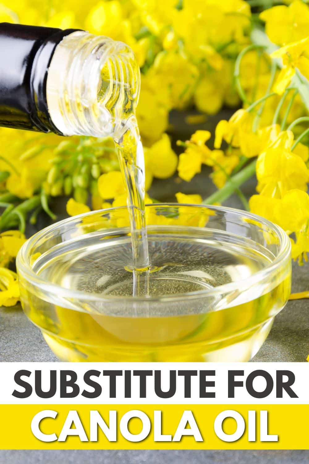 What Can Be Substituted for Canola Oil? Healthy Fats & Olive Oil Tips