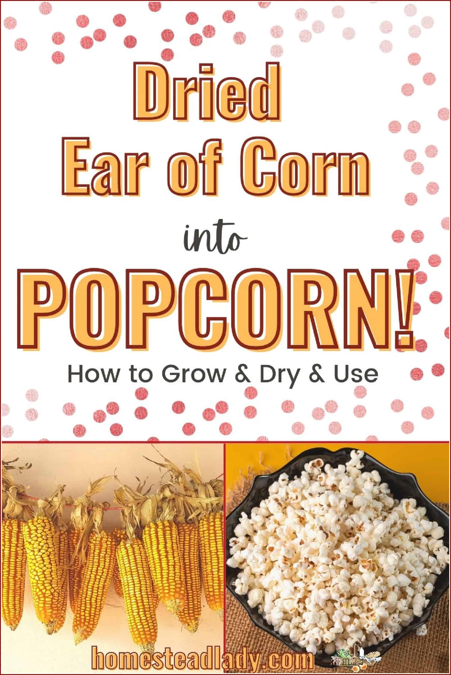 How Do You Make Popcorn on the Cob? Easy Step-by-Step Guide