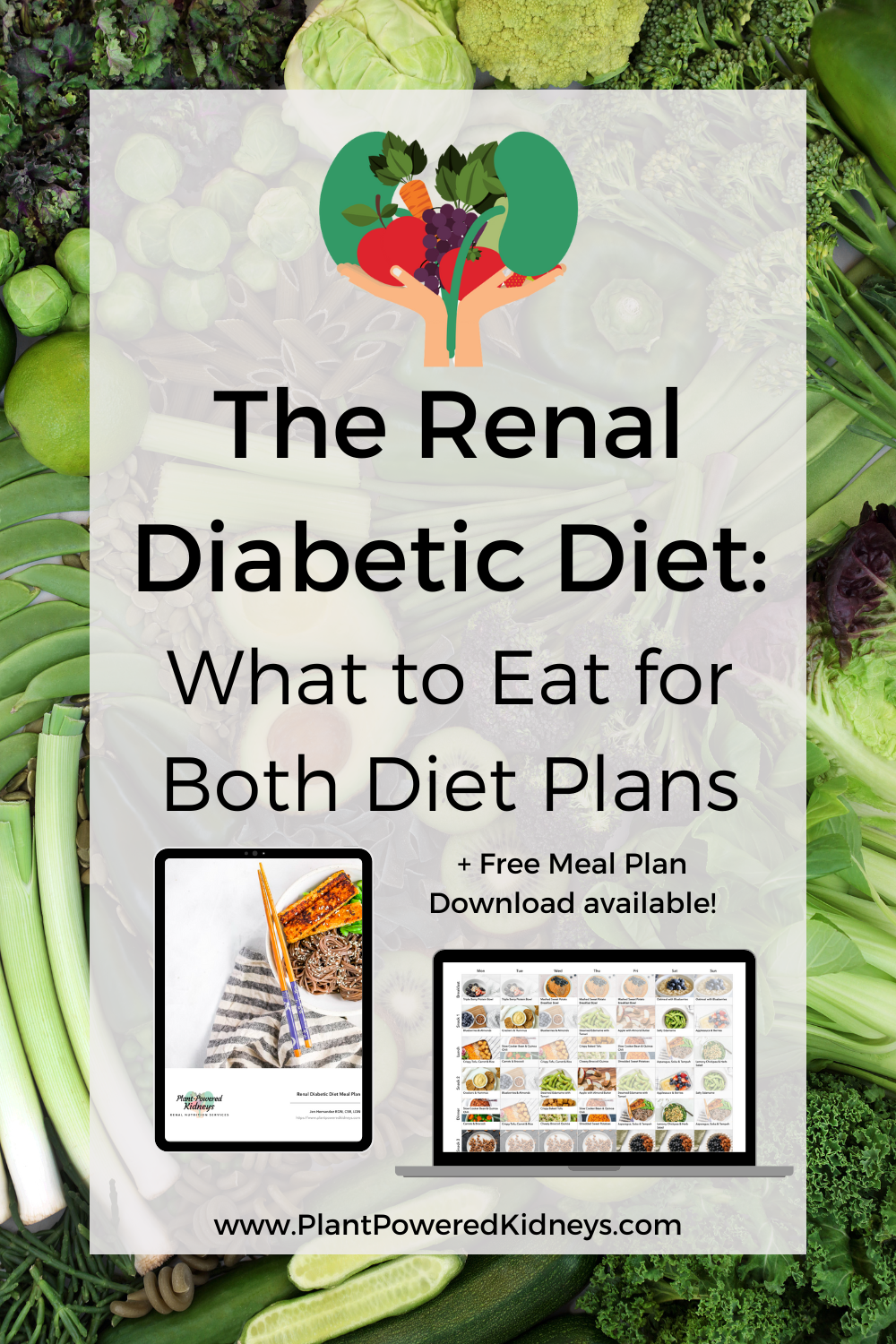 Diabetic Renal Diet Meal Plan PDF: Easy & Healthy Guide